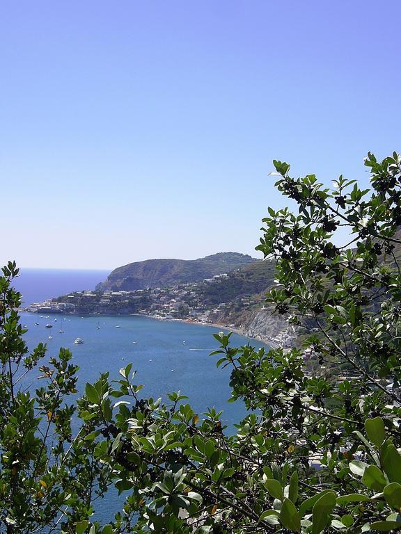 Hotel San Giovanni Terme Ischia Zewnętrze zdjęcie